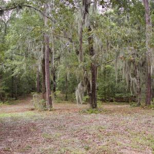 Photo #6 of 385 Sand Ridge, New Bern, NC
