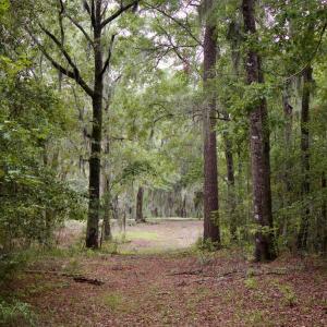 Photo #2 of 385 Sand Ridge, New Bern, NC