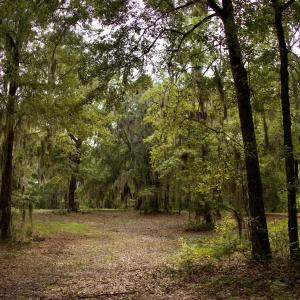 Photo #33 of 385 Sand Ridge, New Bern, NC