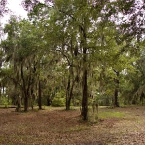 Photo #32 of 385 Sand Ridge, New Bern, NC
