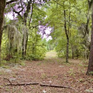 Photo #16 of 385 Sand Ridge, New Bern, NC