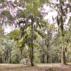 Photo #28 of 385 Sand Ridge, New Bern, NC