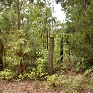 Photo #20 of 385 Sand Ridge, New Bern, NC