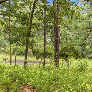 Photo #15 of 813 Gull Point, Wilmington, NC 0.8 acres