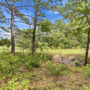 Photo #7 of 813 Gull Point, Wilmington, NC 0.8 acres