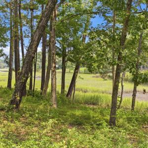 Photo #14 of 813 Gull Point, Wilmington, NC 0.8 acres