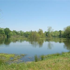 Photo #6 of 686 Railroad, North Augusta, SC 0.2 acres