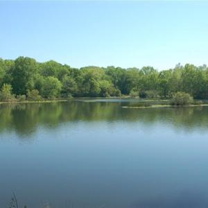 Photo #7 of 686 Railroad, North Augusta, SC 0.2 acres