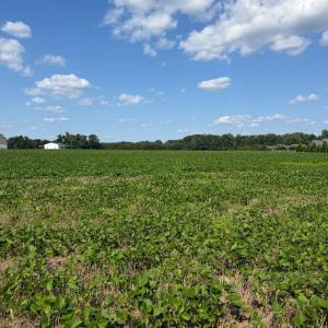 Photo #8 of 4140 Seth West, Dover, NC 10.2 acres