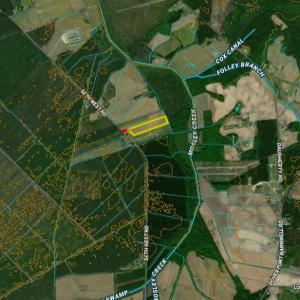 Photo #13 of 4140 Seth West, Dover, NC 10.2 acres