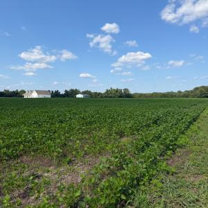 Photo #10 of 4140 Seth West, Dover, NC 10.2 acres