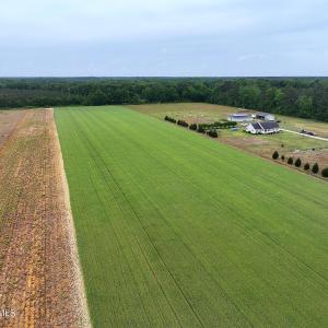 Photo #3 of 4140 Seth West, Dover, NC 10.2 acres