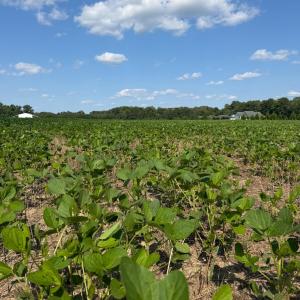 Photo #7 of 4140 Seth West, Dover, NC 10.2 acres