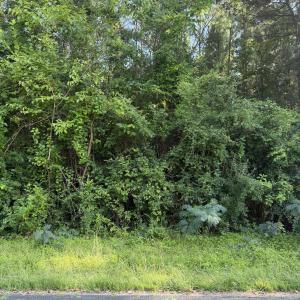 Photo #1 of 1199 Green Springs, New Bern, NC 1.2 acres