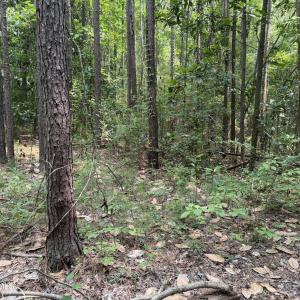 Photo #2 of 1199 Green Springs, New Bern, NC 1.2 acres