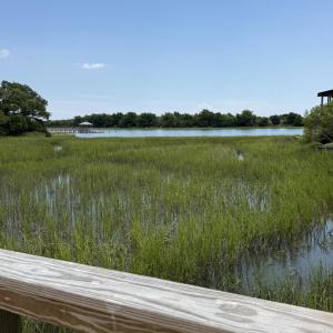 Photo #5 of 1909 Norwood, Ocean Isle Beach, NC 1.0 acres