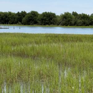 Photo #6 of 1909 Norwood, Ocean Isle Beach, NC 1.0 acres