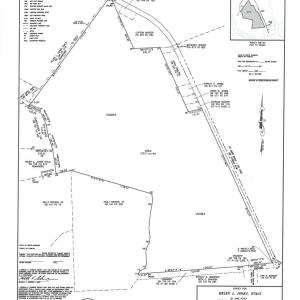 Photo #1 of Lovick Lee, Oriental, NC 115.1 acres
