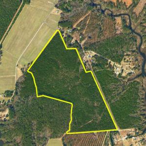Photo #2 of Lovick Lee, Oriental, NC 115.1 acres