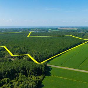 Photo #3 of Lovick Lee, Oriental, NC 115.1 acres