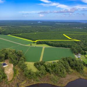 Photo #4 of Lovick Lee, Oriental, NC 115.1 acres
