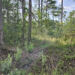 Photo #1 of Lot 452 Queens, Southport, NC 0.2 acres