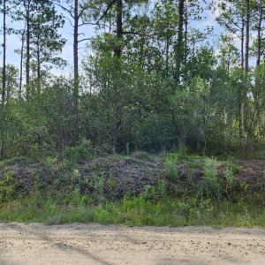 Photo #1 of Lot 453 Queens, Southport, NC 0.3 acres
