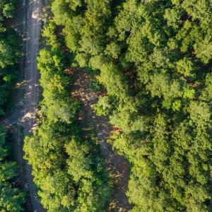 Photo #5 of 230 River Woods, Wallace, NC 0.8 acres