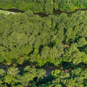 Photo #9 of 230 River Woods, Wallace, NC 0.8 acres