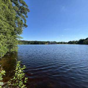 Photo #11 of 116 American Legion, Rockingham, NC 2.5 acres