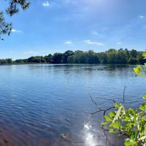 Photo #7 of 116 American Legion, Rockingham, NC 2.5 acres