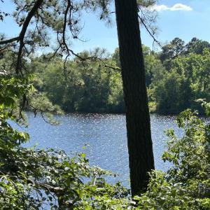 Photo #9 of 112 American Legion, Rockingham, NC 2.6 acres