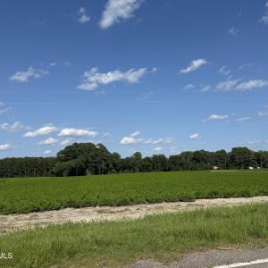 Photo #20 of 3085 Fire Dept, Williamston, NC 50.0 acres