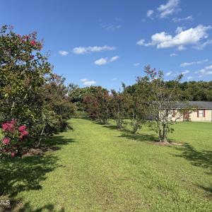 Photo #1 of 3085 Fire Dept, Williamston, NC 50.0 acres