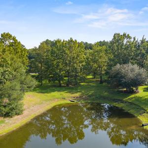 Photo #10 of 110 Falling Water, Wallace, NC 0.8 acres
