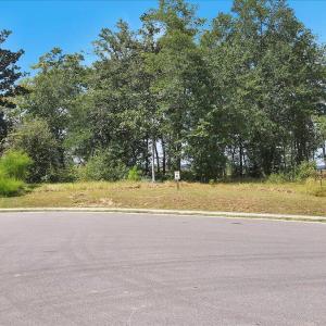 Photo #4 of 1511 Riverview, Wilmington, NC 6.6 acres