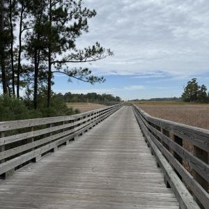 Photo #14 of 1511 Riverview, Wilmington, NC 6.6 acres