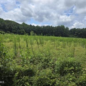 Photo #17 of Ballard, Williamston, NC 57.0 acres
