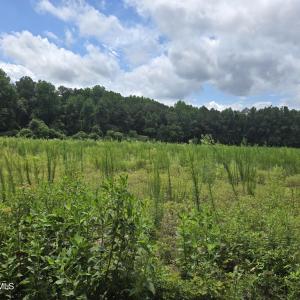 Photo #15 of Ballard, Williamston, NC 57.0 acres