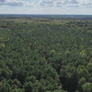 Photo #14 of Ballard, Williamston, NC 57.0 acres