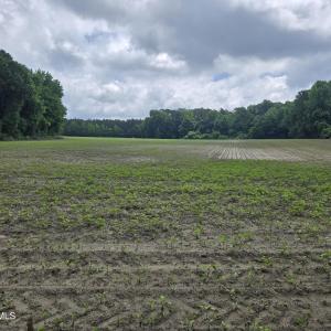 Photo #5 of Ballard, Williamston, NC 57.0 acres