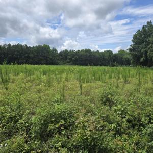 Photo #16 of Ballard, Williamston, NC 57.0 acres