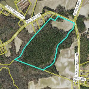 Photo #6 of Ballard, Williamston, NC 57.0 acres