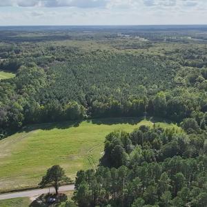 Photo #9 of Ballard, Williamston, NC 57.0 acres
