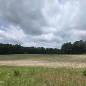 Photo #1 of Ballard, Williamston, NC 57.0 acres