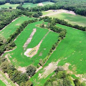 Photo #3 of 464 Washboard, Mount Olive, NC 59.7 acres