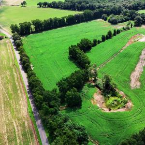 Photo #5 of 464 Washboard, Mount Olive, NC 59.7 acres