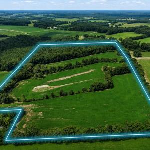 Photo #2 of 464 Washboard, Mount Olive, NC 59.7 acres