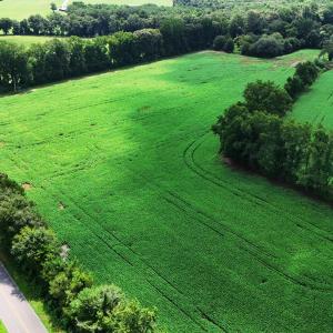 Photo #10 of 464 Washboard, Mount Olive, NC 59.7 acres