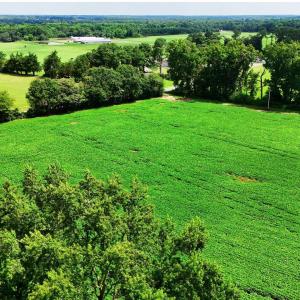 Photo #11 of 464 Washboard, Mount Olive, NC 59.7 acres